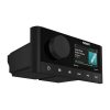 Garmin Fusion® MS-RA210 Marine Stereo, (Tengeri zenelejátszó)