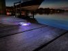 Lumitec  Scallop Pathway Light - Spectrum with Cool White, (Spectrum lámpa)
