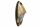 Lumitec Nautilus Piling Light, Bronze, HCRI (Lámpa)