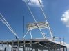 Lumitec Contour LED Navigation Anchor Light - 12"
