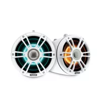 Entertainment Electronics