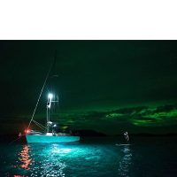 Navigation lights